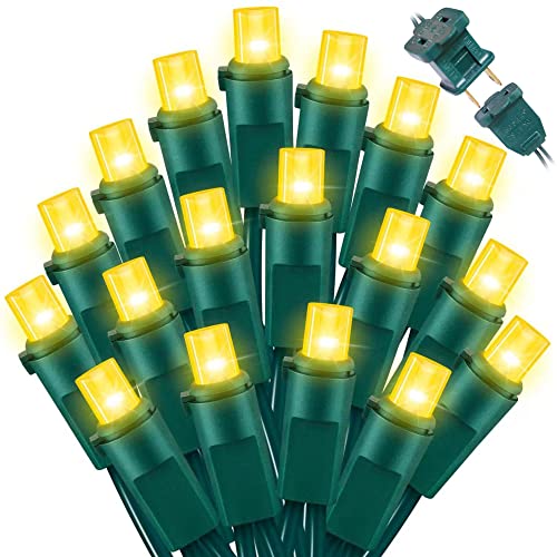 Christmas Lights Indoor Outdoor (100 Count)