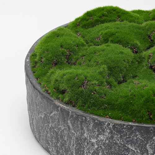 New Moss Bowl