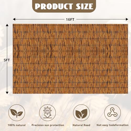 Bamboo Reed Fencing