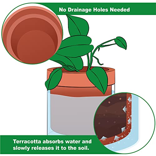 4 Inch 6 Inch Self Watering Planter Pots (2 Count)