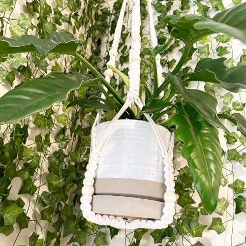 6 Inch Plant Pots