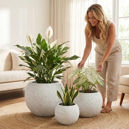 Premium Mt Sherman Fiberstone Sphere Planter for Indoor Outdoor Use