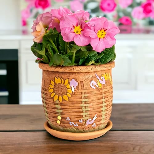 Ceramic Pot with Drainage Hole and Saucer