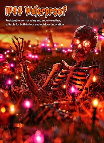 2 Pack Orange & Purple Halloween Mini Lights (2 Count)
