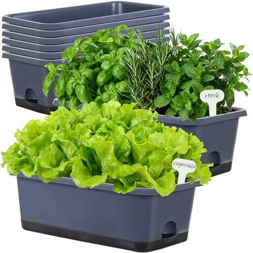 Window Box Planter 8 Pcs (8 Count)
