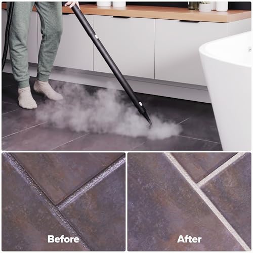 Neat Steam Cleaner for Home with Storage Bag