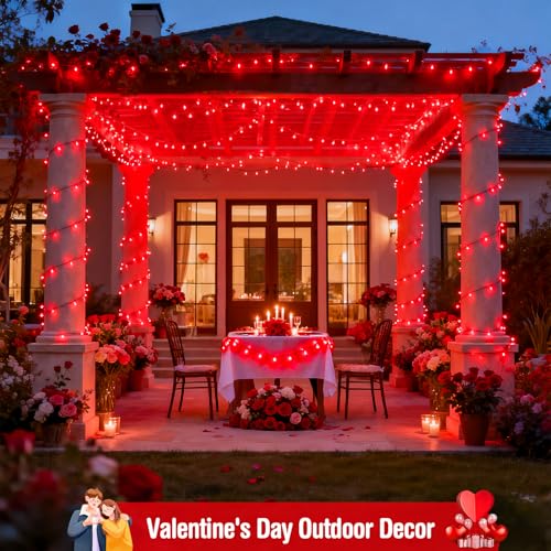 2 Pack Solar Halloween Lights (85.4 Foot)