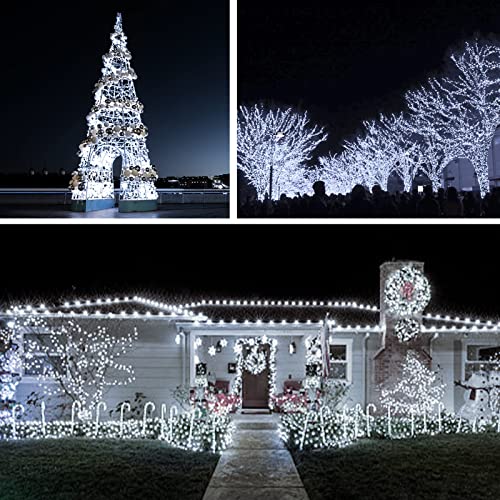 33ft 100 LED Outdoor String Lights