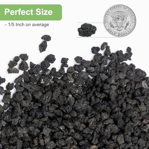 2.5lbs Lava Rocks for Plants
