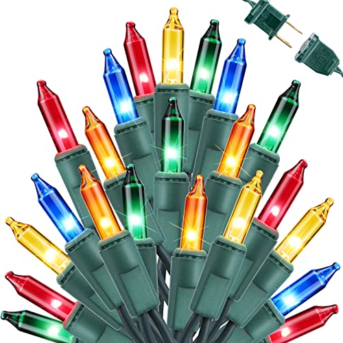 Multicolor Christmas Lights (75 Foot)