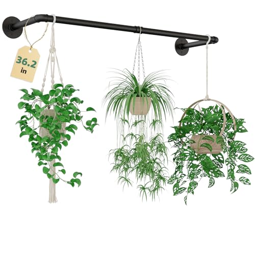 Plant Hanger Indoor Hanging Planters for Indoor Plants Hanging Plant Holder Black Metal Rod