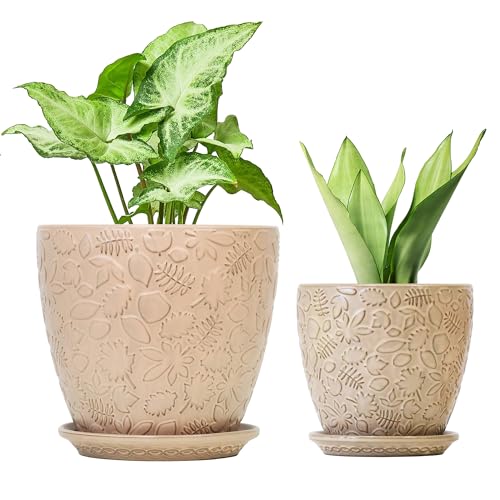 8 Inch + 6 Inch Retro Ceramic Planter Set of 2 with Drainage Hole and Saucer for Multiple Plants (2 Count)