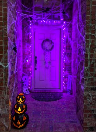 39FT Purple Halloween Lights (33 Foot)