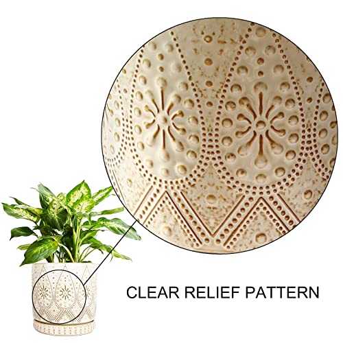 8 Inch Indoor Plant Pot with Drainage Holes and Saucers (3 Count)