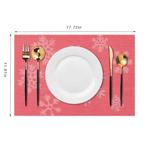 Placemats Set of 4 Washable Indoor (4 Count)