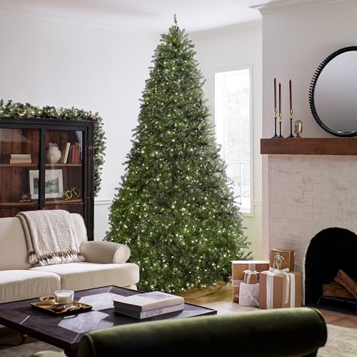 10ft Pre Lit Dunhill Fir Artificial Christmas Tree