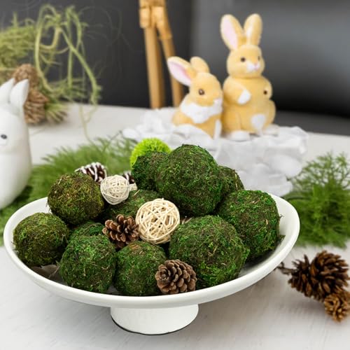 Elegant Ceramic Bowl with Moss Ball Set