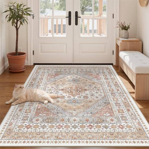 4x6 Area Rug for Entryway