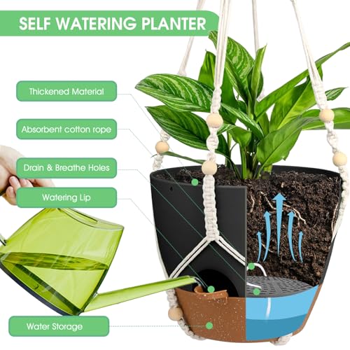 Hanging Planters for Indoor Outdoor Plants (2 Count)