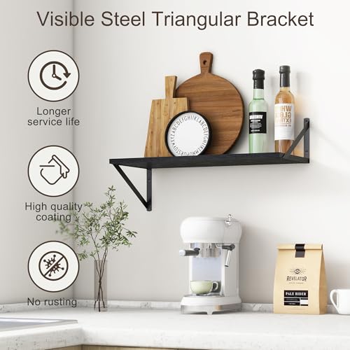 Deep Black Floating Shelves for Wall (2 Count)