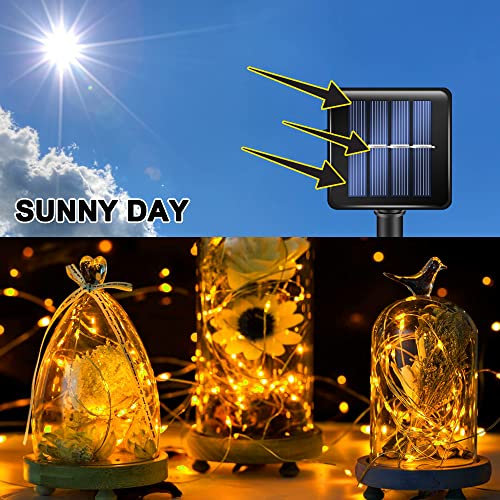 Warm White Solar String Lights Outdoor (2 Count)