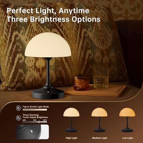 Mushroom Lamp Cordless Lamp Table Lamp