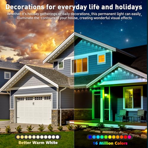 100FT Permanent Outdoor Lights