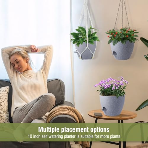 Self Watering Hanging Planters 10 inch (2 Count)