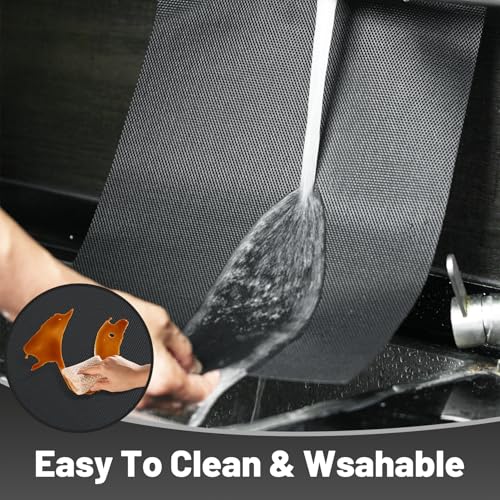 Placemats Set of 12 (12 Count)