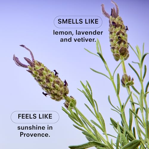 Lavender Candle (8.5 Ounce)