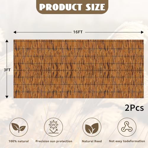 Bamboo Reed Fencing (192 Sq Ft)