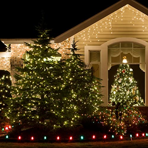 Green Wire Clear Incandescent Bulb 100 Mini String Lights for Indoor Christmas Tree Garland Birthday Wedding Party Festival Decoration (100 Count)