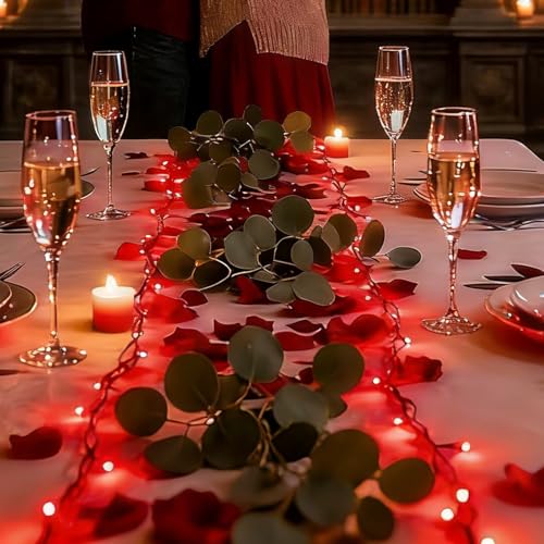 Red Valentines Day Decor Lights Green Wire (100 Count)