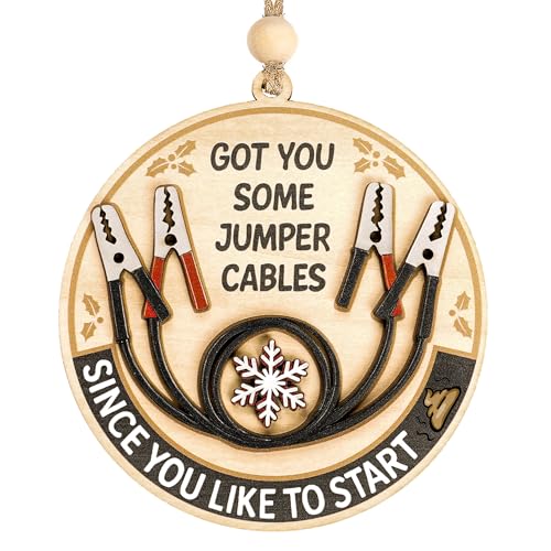 Funny Christmas Ornaments 2026