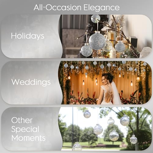 25 Pack Assorted Clear Christmas Ball Ornaments (25 Count)