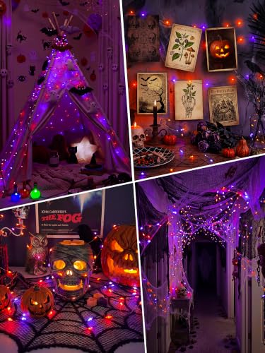 2 Pack Halloween Fairy Lights Battery Operated Timer (2 Count)