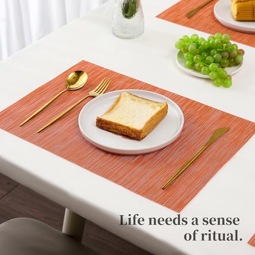 Orange Placemats Set of 6 (6 Count)
