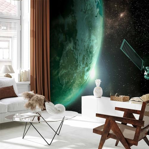 Peel and Stick Wall Mural (5 Count)