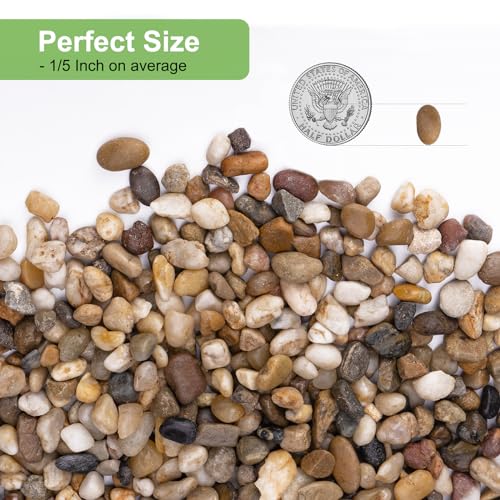 5 lbs Drainage Rocks for Potted Plants
