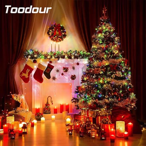 Multicolor Christmas Lights (25 Foot)