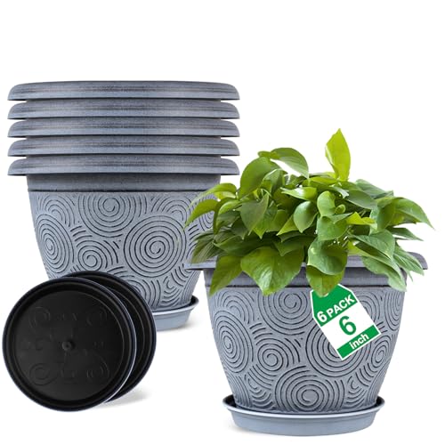6 Inch Flower Pots Planters for Indoor Outdoor Plants