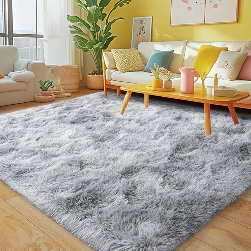 Rugs for Living Room (24 Sq Ft)