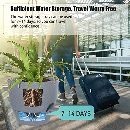 10 Inch Self Watering Hanging Pots (2 Count)