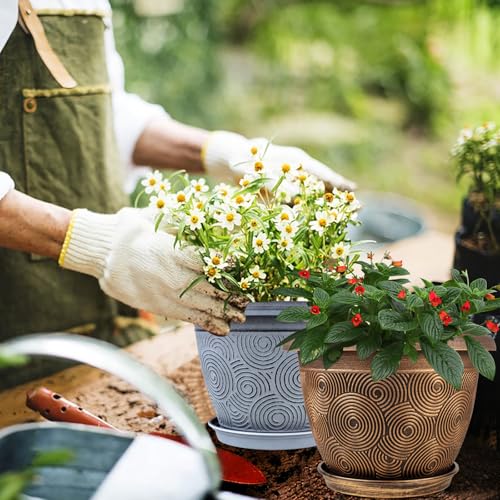 8 Inch Flower Pots Planters for Indoor Outdoor Plants