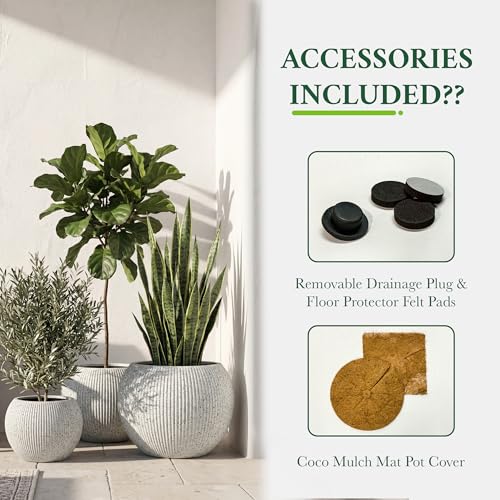 Premium Mt Sherman Fiberstone Sphere Planter for Indoor Outdoor Use