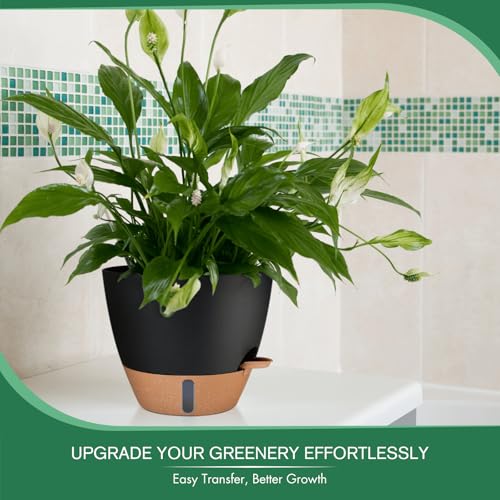 2 Pack 10 inch Plant Pots (2 Count)