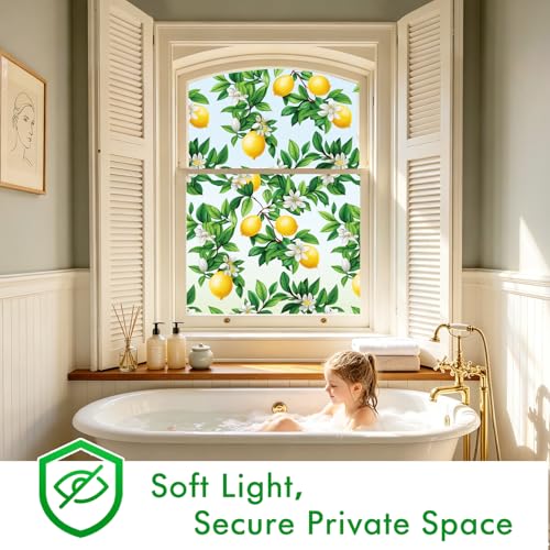 Frosted Window Privacy Film