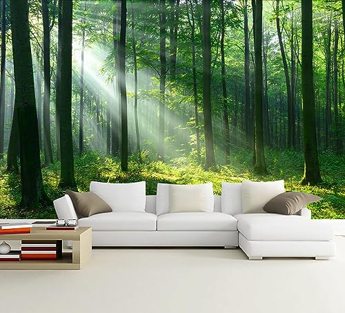 Green Forest Woodland Wallpaper Nature Landscape Tree Wall Mural