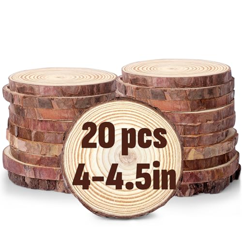 Unfinished Natural Wood Slices 4 (20 Count)