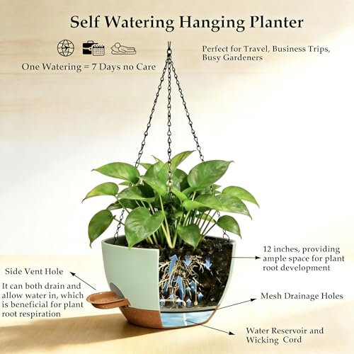 12 Inch Self Watering Hanging Planters 2 Pack (2 Count)